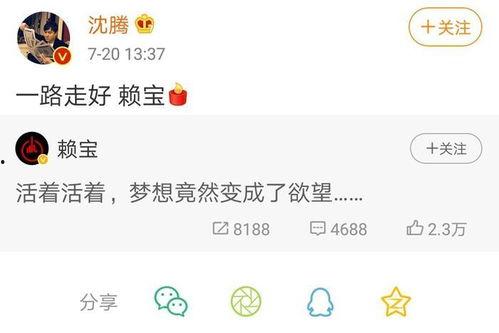 赖宝爆料微博最新消息,娱乐圈最新动态揭秘