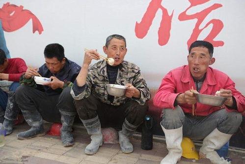 农民老张最新爆料新闻,揭秘农村新动向背后的惊人真相！